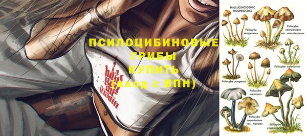 каннабис Абаза